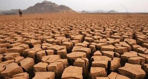 美国有多少黑人