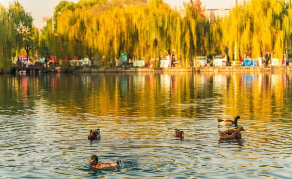 沈阳市人口总人数是多少