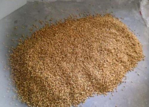 酒糟可以做肥料吗