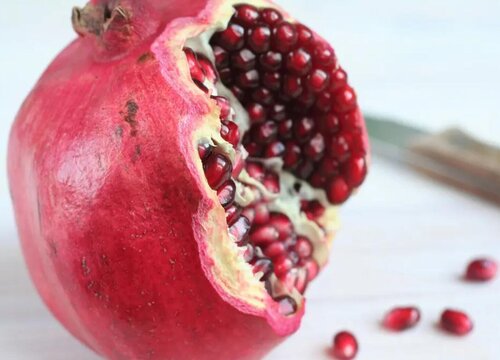 仓鼠可以吃石榴吗