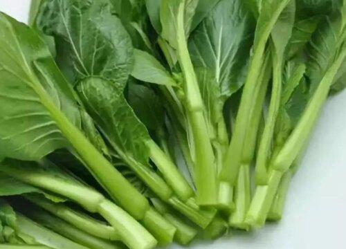 空心菜和菜心一样吗