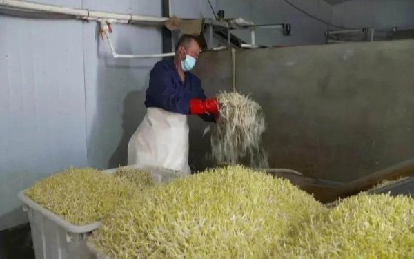 一万元创业项目