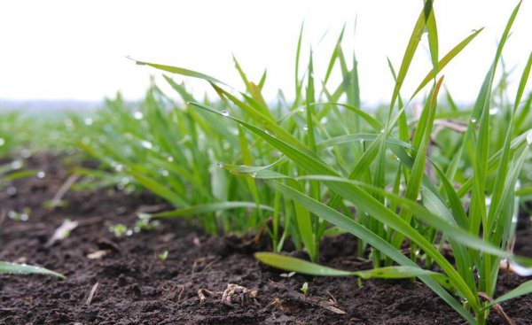 农事活动包括哪些过程