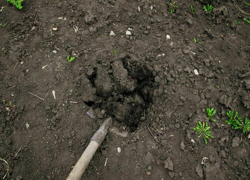 土壤板结的危害及防治措施