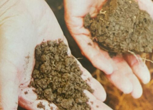 土壤板结的危害及防治措施