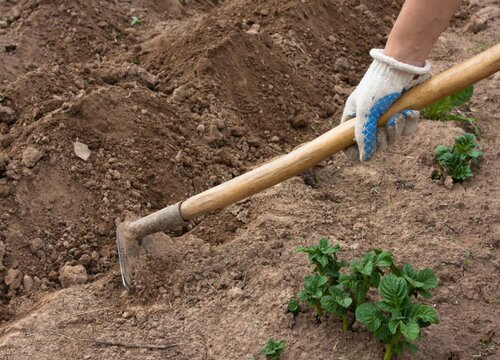 土壤板结的危害及防治措施
