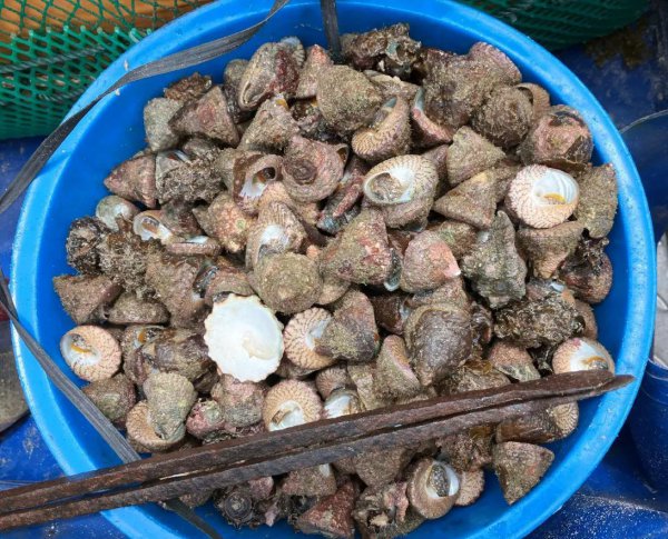 向往的生活第六季拍摄地点在哪里