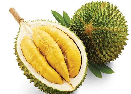 猫山王为什么必须冷冻进口