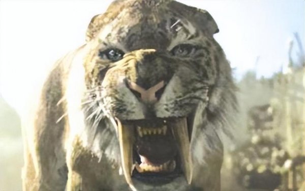 猫是什么进化而来的