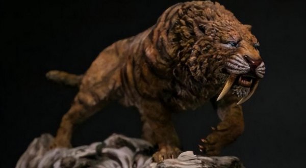 猫是什么进化而来的