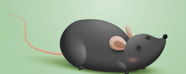 木鼠穿什么颜色衣服旺财