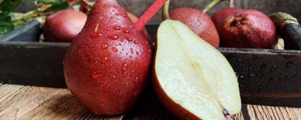 红啤梨吃的好处和坏处