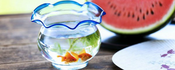 客厅小适合摆放鱼缸吗