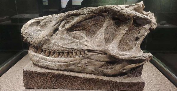 自贡旅游十大必去景点推荐