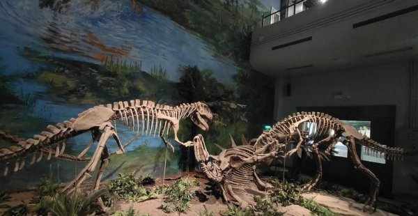 自贡旅游十大必去景点推荐