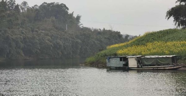 自贡旅游十大必去景点推荐