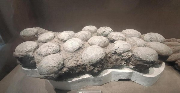 自贡旅游十大必去景点推荐