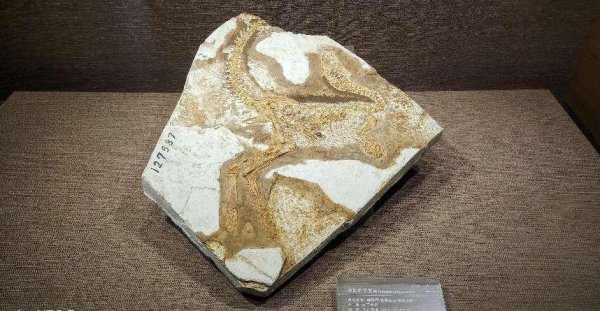 自贡旅游十大必去景点推荐