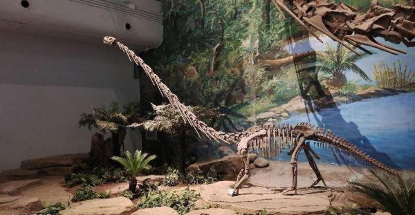 自贡旅游十大必去景点推荐