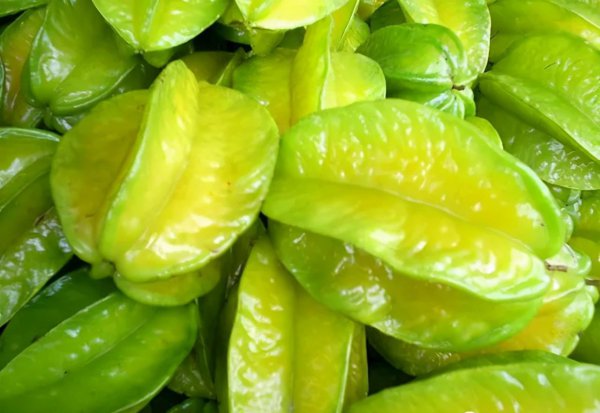 来海南必买的十大特产水果