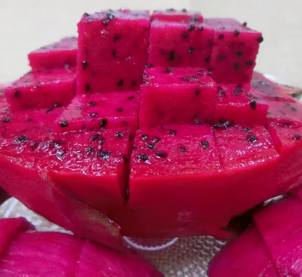 来海南必买的十大特产水果