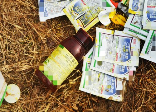 玉米除草剂能不能和杀虫剂混用