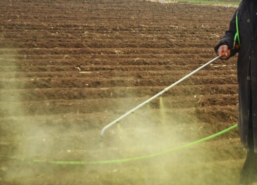 玉米除草剂能不能和杀虫剂混用