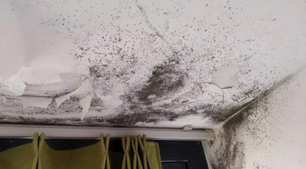 天花板发霉是楼上漏水吗