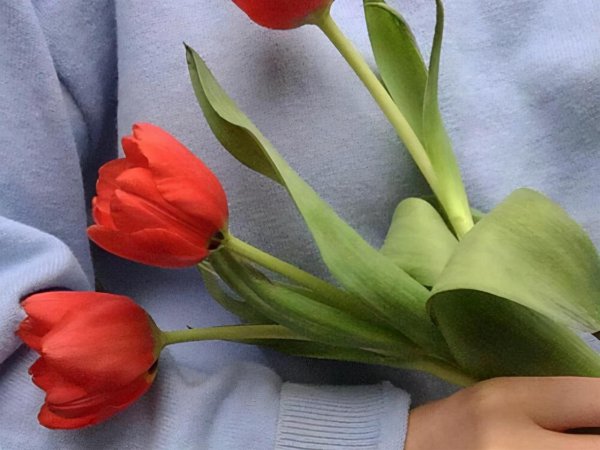 天蝎男的性格特点和爱情观