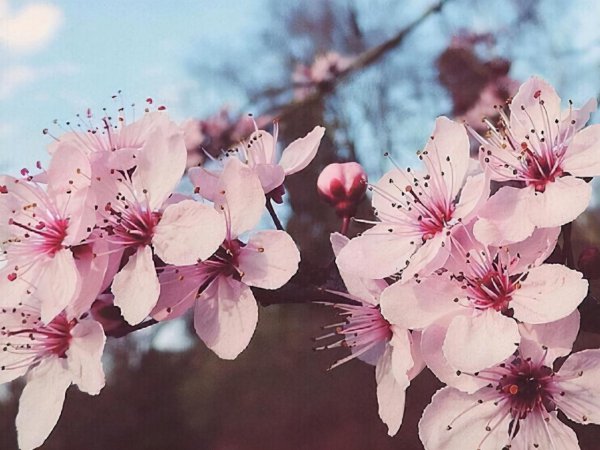 天蝎男的性格特点和爱情观
