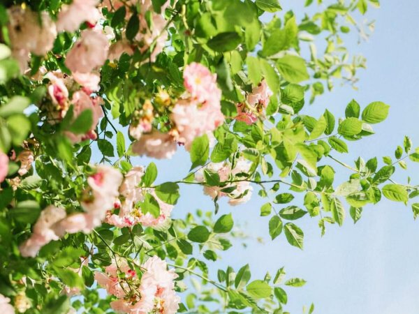 天蝎男的性格特点和爱情观