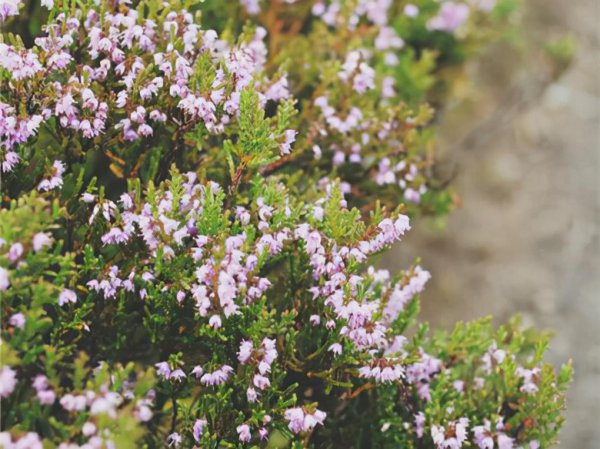 天蝎男的性格特点和爱情观