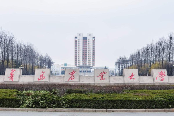 郑州工商学院是几本学校