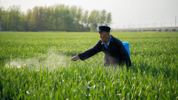 农村安装光伏发电可靠吗