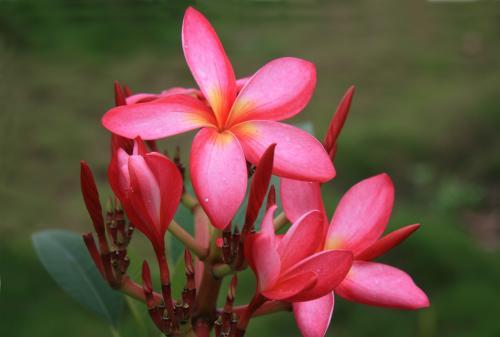 真正可怕的人是沉得住气的人