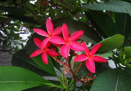 真正可怕的人是沉得住气的人