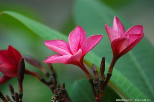 真正可怕的人是沉得住气的人