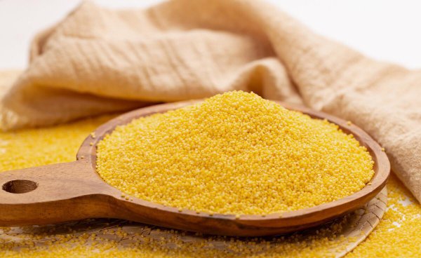 黑小米跟黄小米有什么区别图片