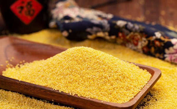 黑小米跟黄小米有什么区别图片