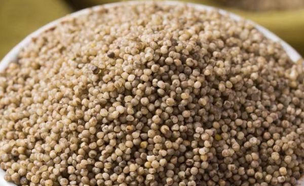 黑小米跟黄小米有什么区别图片