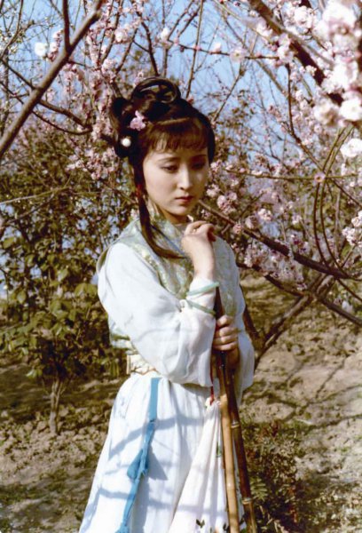 红楼梦的主题思想是什么