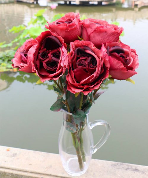 玫瑰可以在水里养多久