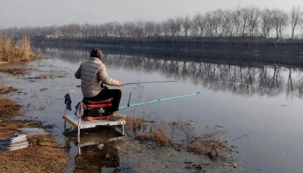 拉丝粉的作用和饵料的比例