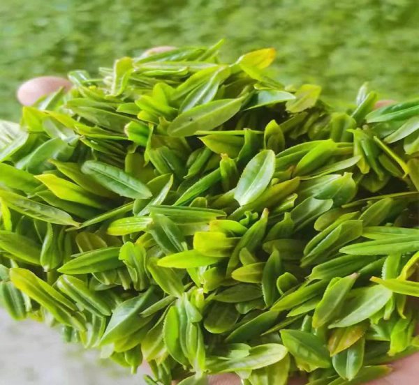 中国最贵茶叶排名