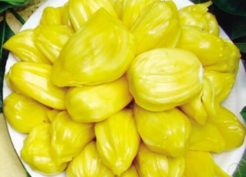 菠萝蜜肉可以冷冻保存吗