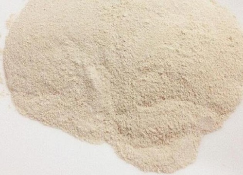 种兰花能放鸡蛋壳吗