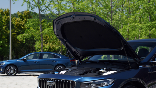 为什么都不建议买星瑞