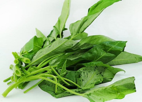 空心菜是红薯叶吗