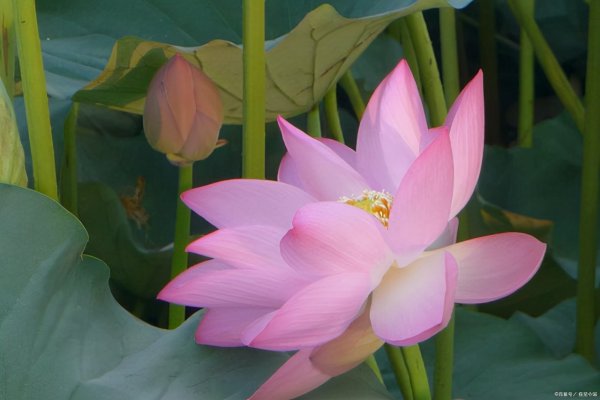 珲春是哪个省的城市