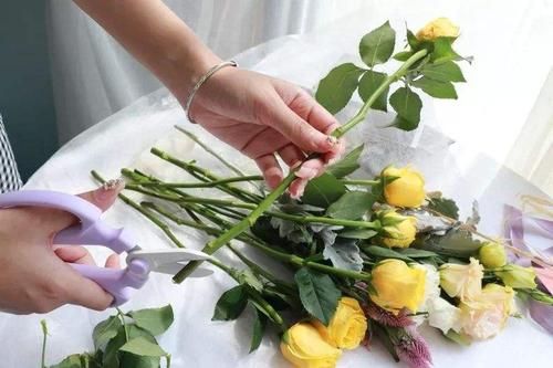 玫瑰插花瓶怎么养活得久一点